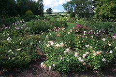 Killikus&reg; Fotographie